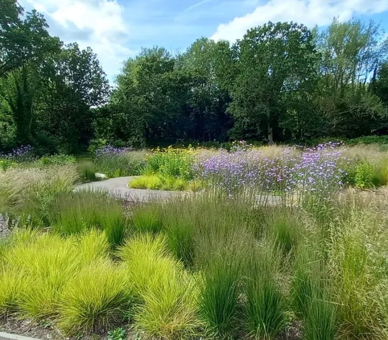 victoria park sensory garden